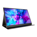 15.6" VESA Portable Monitor 1080P Display Laptop Screen Expander
