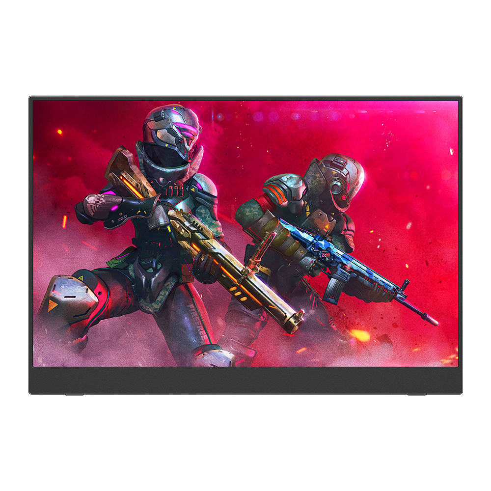 2560 x 1440 Monitor 17.3 Inch HDR Gaming QHD 144hz IPS Display