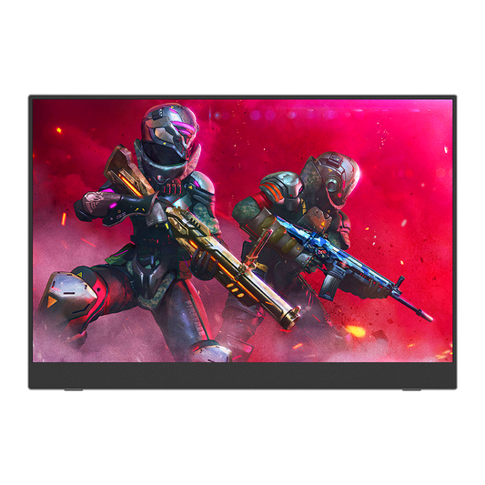 2560 x 1440 Monitor 17.3 Inch HDR Gaming QHD 144hz IPS Display