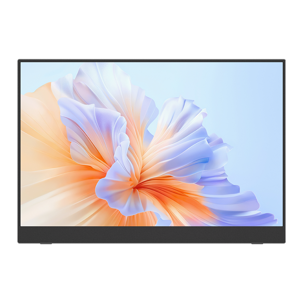 15.6" VESA Portable Monitor 1080P Display Laptop Screen Expander