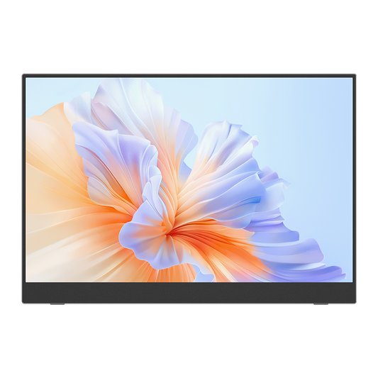 15.6" VESA Portable Monitor 1080P Display Laptop Screen Expander