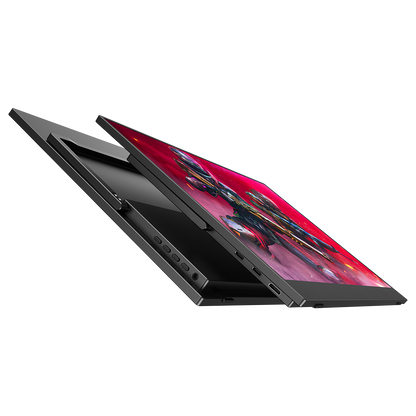 2560 x 1440 Monitor 17.3 Inch HDR Gaming QHD 144hz IPS Display